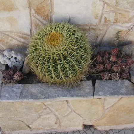 La Casa Di Dario Monacizzo