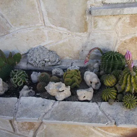 La Casa Di Dario Villa Monacizzo